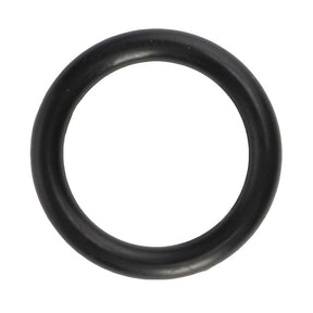 A black, circular rubber AGCO O-ring model 3009598X1 on a white background. No current product description available for this product.