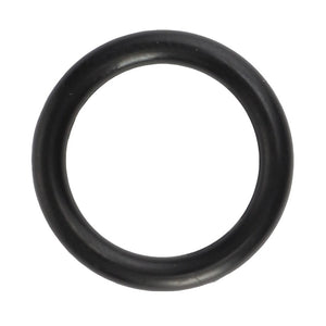 A black, circular rubber AGCO O-ring model 3009598X1 on a white background. No current product description available for this product.