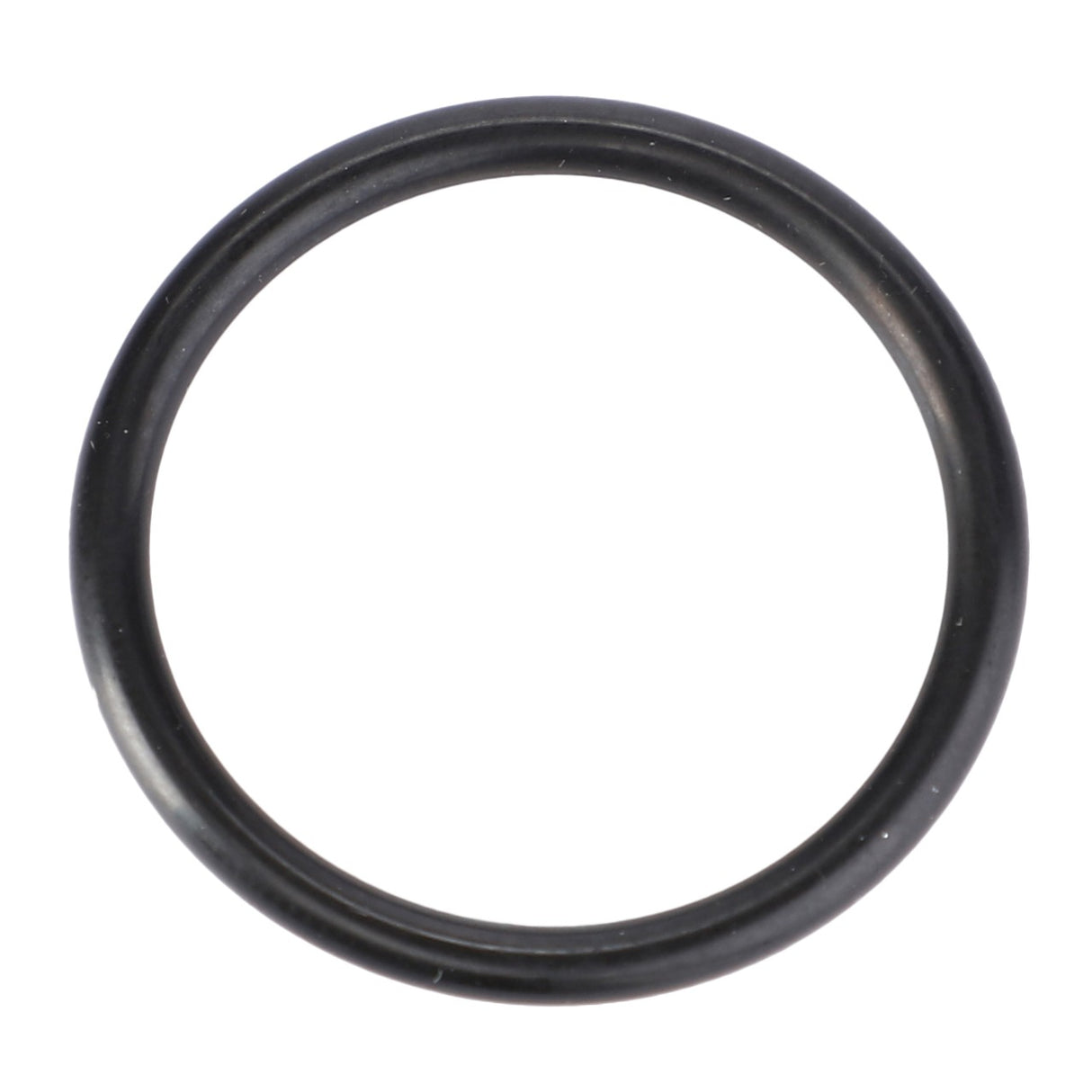 AGCO | O-Ring, Ø 24 X 2,5 Mm - X548871466000 - Farming Parts