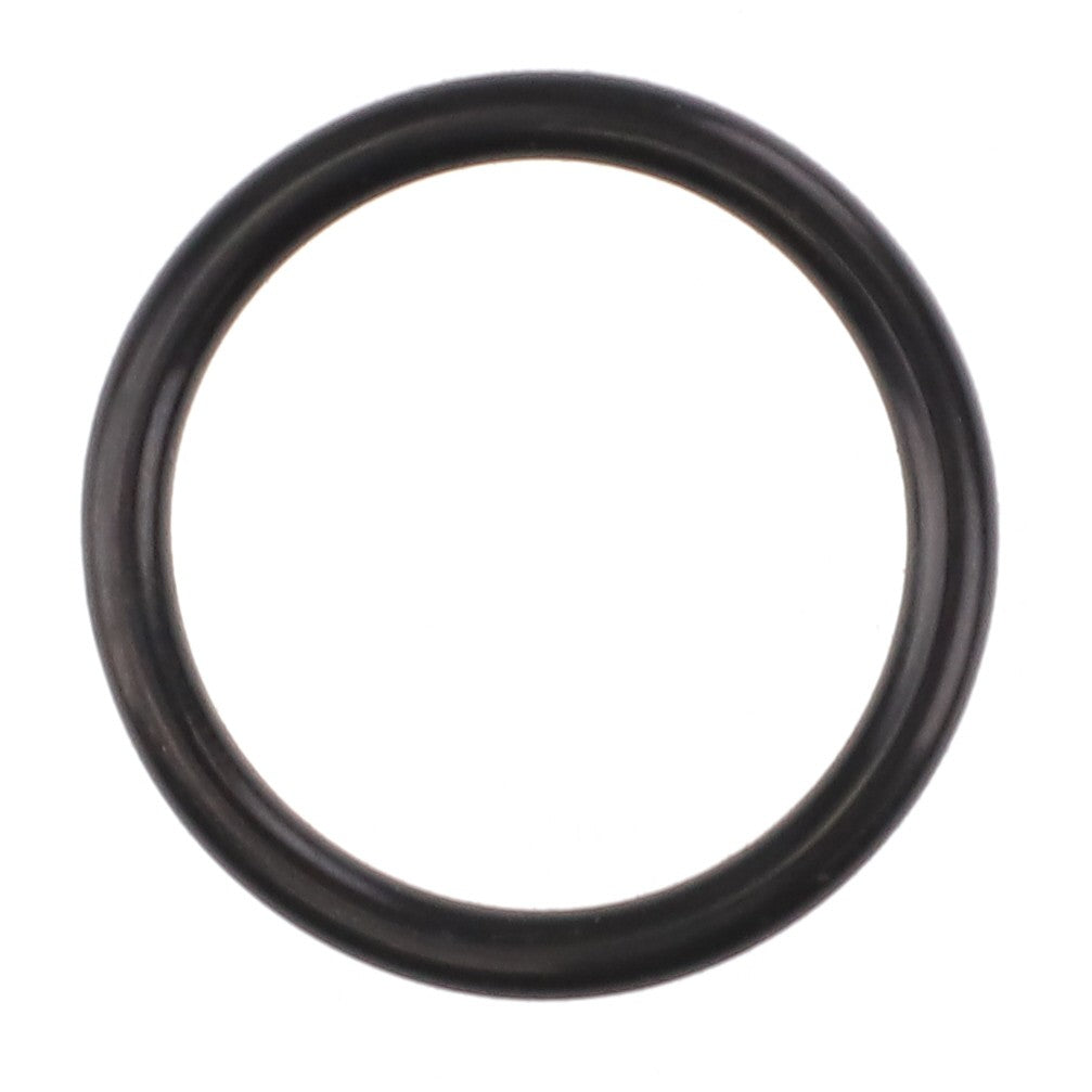 A close-up view of the AGCO O-RING - AG331737, a black circular rubber sealing component, sits against a white background. Please note, no current product description information is available.