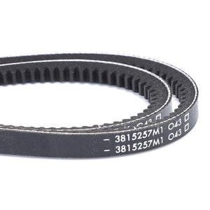 A black AGCO V-Belt, sold as a matched pair (3815257M1), with white text displaying the specifications "3815257M1 O43," is coiled in a loop, ensuring optimal performance for Massey Ferguson Models.