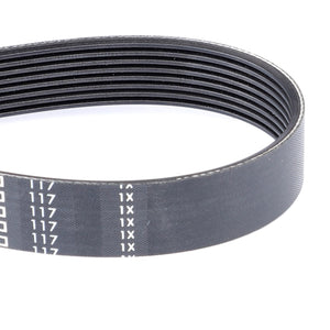 AGCO | Serpentine Belt, Pk8 Profile | AG-4275520M1