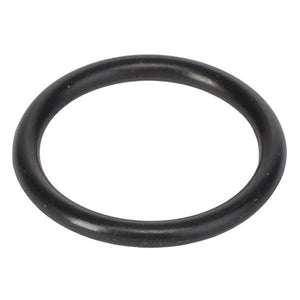 A black rubber O-ring, identified as AGCO | O-RING - AG135549, against a white background. No current product description information is available.