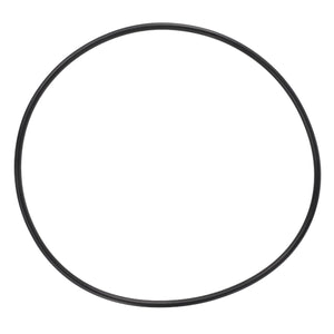 AGCO | O-Ring | AG-Lm97043363