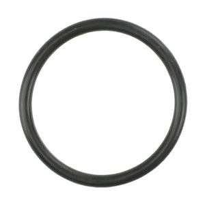 Product Name: AGCO | O RING - AG519377

A circular black rubber O-ring, used as a sealing gasket. No current product description information is available.