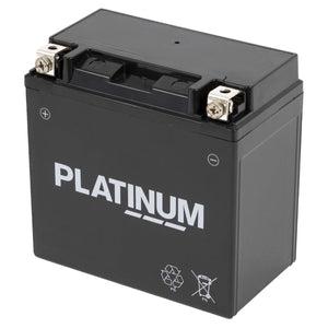 A black AGCO battery, model Platinum International Battery - 3933352M1, featuring metal terminals on top and the word "Platinum" printed on the front, and is renowned for its vibration resistance.