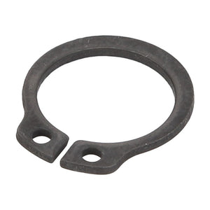 AGCO | CIRCLIP - D42501200