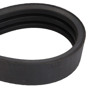 Close-up of the AGCO | BELT - D41990063, a black rubber V-belt with multiple grooves, designed for use in automotive or machinery applications for power transmission. The brand name is AGCO. No current product description information is available.