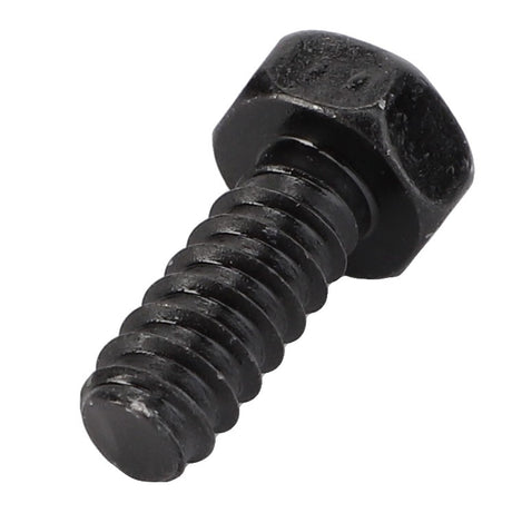 AGCO | Hex Tapping Screw - Acw2920430 - Farming Parts