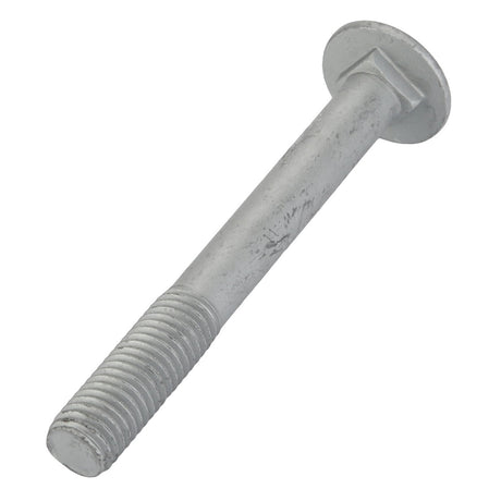 AGCO | Round Head Square Neck Carriage Bolt - Acw1066860 - Farming Parts