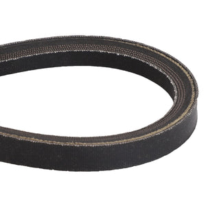 AGCO | V Belt | AG-Sm1718602