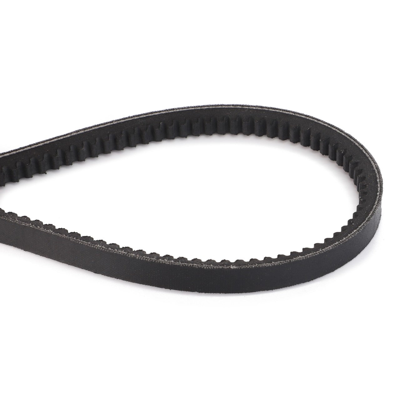 Close-up of the AGCO Drive V Belt, Radiator Fan - D41990700 in a looped shape, showcasing its black, toothed design. The image emphasizes the belt's serrated inner edge, highlighting its alignment with machine specifications for optimal performance in automotive engines or machinery.