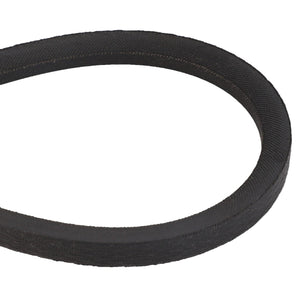 Close-up of the AGCO BELT - D41996100, a black, textured rubber belt looped into a perfect circle against a stark white background.