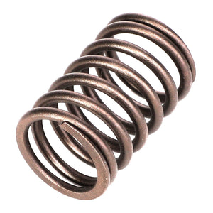 *SPECIAL PRICE* - AGCO Spring Durable OEM Replacement Component for Tractors | 731154M1
