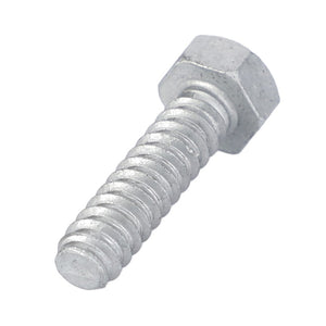 AGCO | Screw | AG-X495220201000