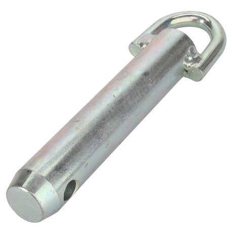 A metal clevis pin with a loop at the top and a hole near the bottom is shown, identified as AGCO | Pin - La320841650 from the brand AGCO.