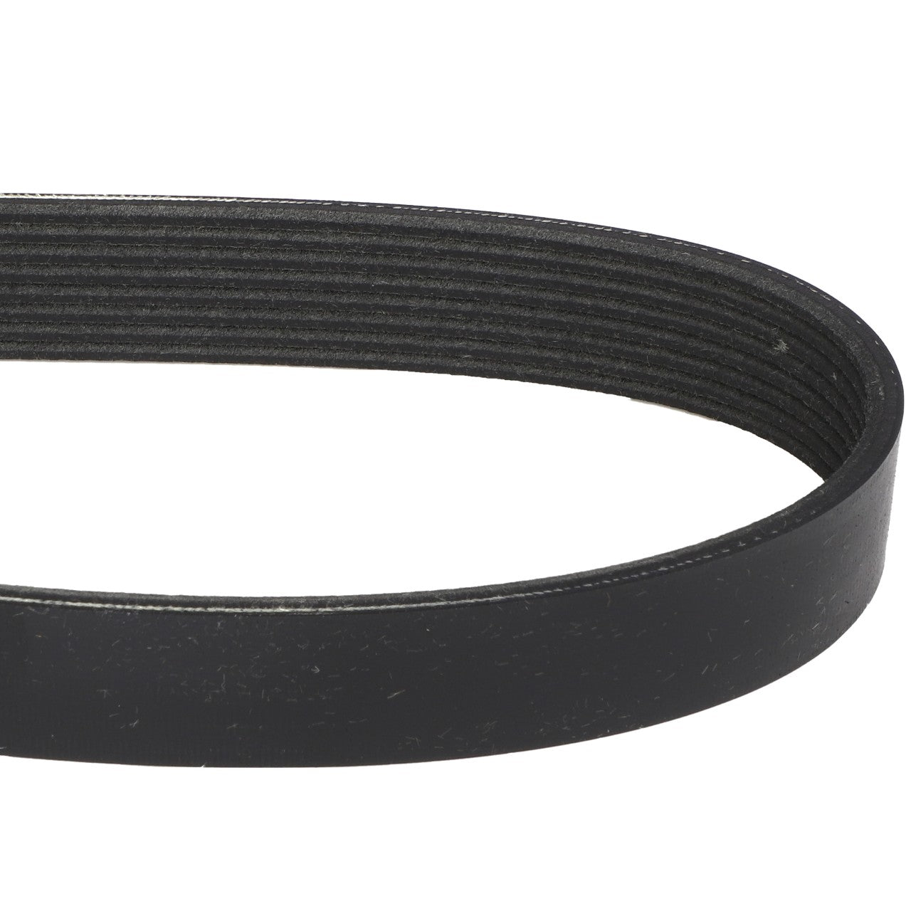 Close-up of the AGCO | BELT - A3966783, a black, ribbed drive belt on a white background. For any questions or assistance with ordering, please contact our support team.