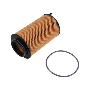 AGCO | Oil Filter | AG-H218Pf150002B