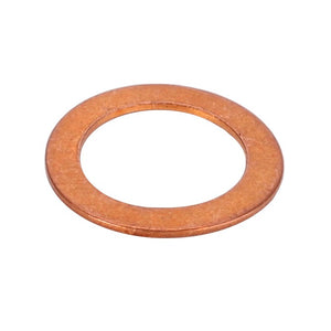 AGCO | Sealing Ring | AG-1440700X1