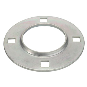 The AGCO | FLANGE - D28350172 is a metallic washer with a circular shape and a central hole, featuring four square cutouts evenly spaced along its outer edge. No current product description information is available.