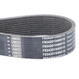 AGCO | Serpentine Belt, Pk10 Profile - F934201040010 - Farming Parts