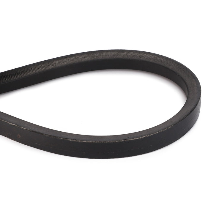 AGCO | Drive Belt, Elevator - D41950100