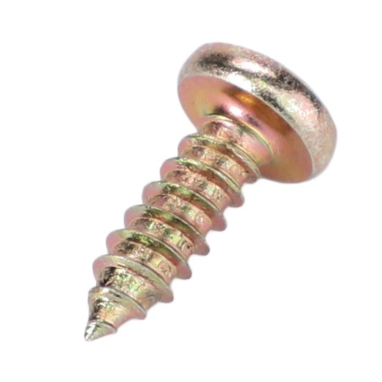 AGCO | Screw | AG-X493808675000