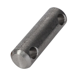 The AGCO Guide Pin - Acx2888750 is a cylindrical metal rod featuring two parallel-aligned drilled holes. Currently, the product lacks a comprehensive description, which means there are no SEO keywords available for suggestion.