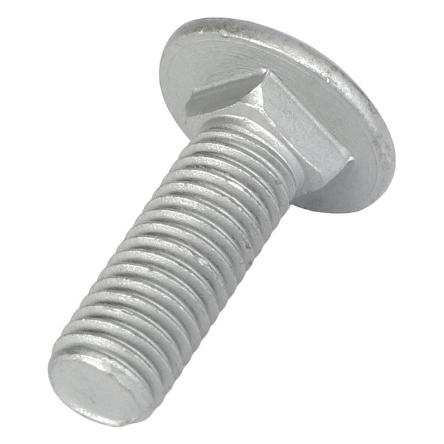 A sleek silver AGCO Round Head Square Neck Carriage Bolt - Acw0997850 featuring a flat, rounded head and threaded shaft, expertly crafted for various applications.