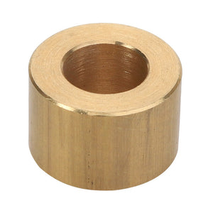 Introducing the AGCO | BUSH - D49060038, a cylindrical brass bushing featuring a central hole.