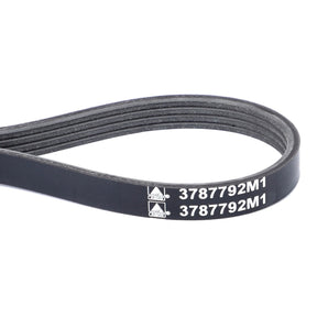 AGCO | Serpentine Belt, Pk4 Profile - 3787792M1 - Farming Parts