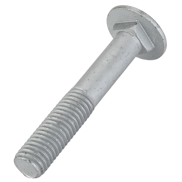 AGCO | Round Head Square Neck Carriage Bolt - Acw0998640 - Farming Parts