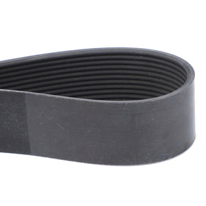 AGCO Serpentine Belt PK12 Profile OEM Engine Drive | V685121370
