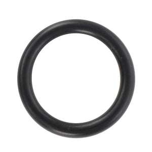 The AGCO | O RING - D43425500, a black rubber O-ring from AGCO, rests prominently against a stark white background.