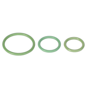 Three green O-rings of varying sizes from the AGCO | Kit, Joint - Acp0338600 arranged in a row from largest to smallest on a white background. No current product description available.