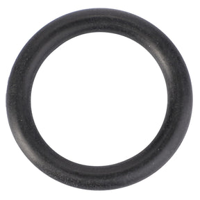 A close-up image of the AGCO O-Ring, Oil Filler - 70923574, made from high-quality black rubber materials, ideal for genuine O-ring seals in Massey Ferguson models.
