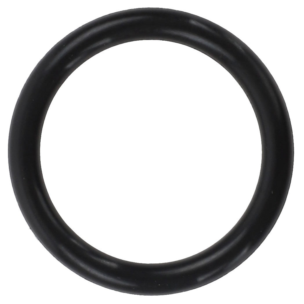 Current product: AGCO O-ring - 0.010.2233.1 in black rubber.