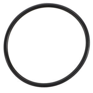 A sleek AGCO | O-Ring - F117941010080 is elegantly displayed against a pristine white background, showcasing its simplicity and functionality.