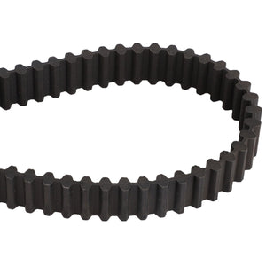 AGCO | BELT - CG1350656000