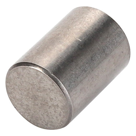 This is an AGCO | PIN - D46134000, a cylindrical metal piece featuring flat surfaces on both ends, commonly used in industrial or mechanical applications. Further product description information is currently unavailable.