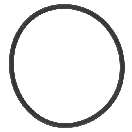 A black rubber O-ring, AGCO | O Ring - La17284481, from the brand AGCO, stands out against a white background with no current product description available.