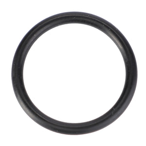 AGCO | O-Ring, Pump, Ø 20,3 X 2,4 Mm | AG-X548862866000
