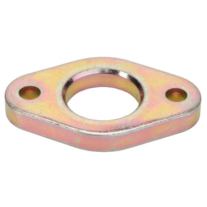 AGCO | Flange - F119200710190 - Farming Parts