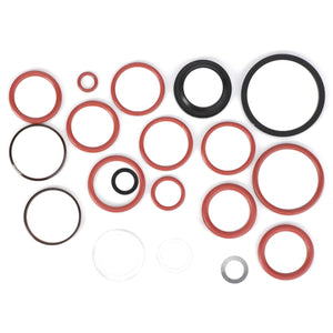 AGCO's Seal Kit, Directional Valve (F117961021010), featuring precisely engineered rubber and metal O-rings in various sizes and colors, is arranged on a white background.