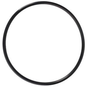 AGCO | O Ring | AG-152613M1