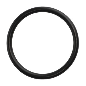 No current product description available: The AGCO O Ring - 3007154X1 is a black rubber O-ring, circular in shape, and shown on a white background.