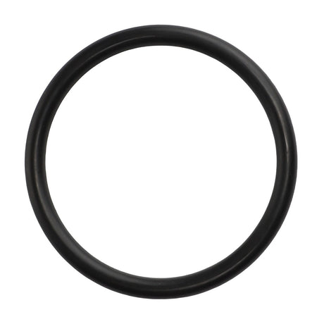 AGCO | O Ring - 3007154X1 - Farming Parts