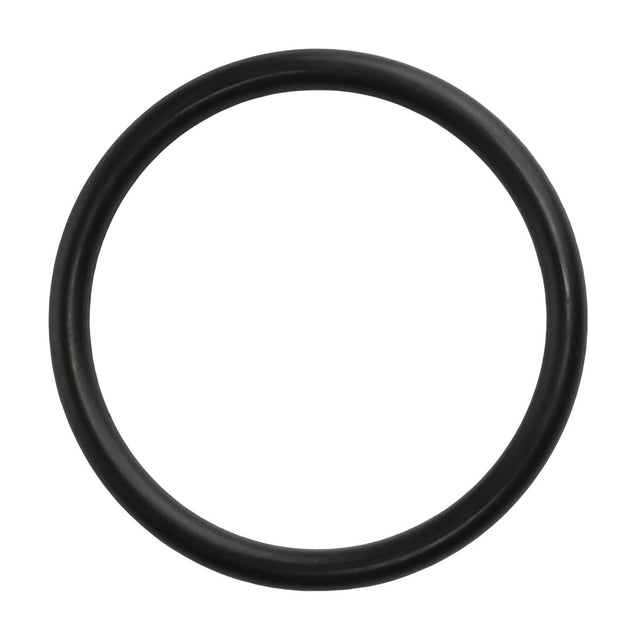 No current product description available: The AGCO O Ring - 3007154X1 is a black rubber O-ring, circular in shape, and shown on a white background.