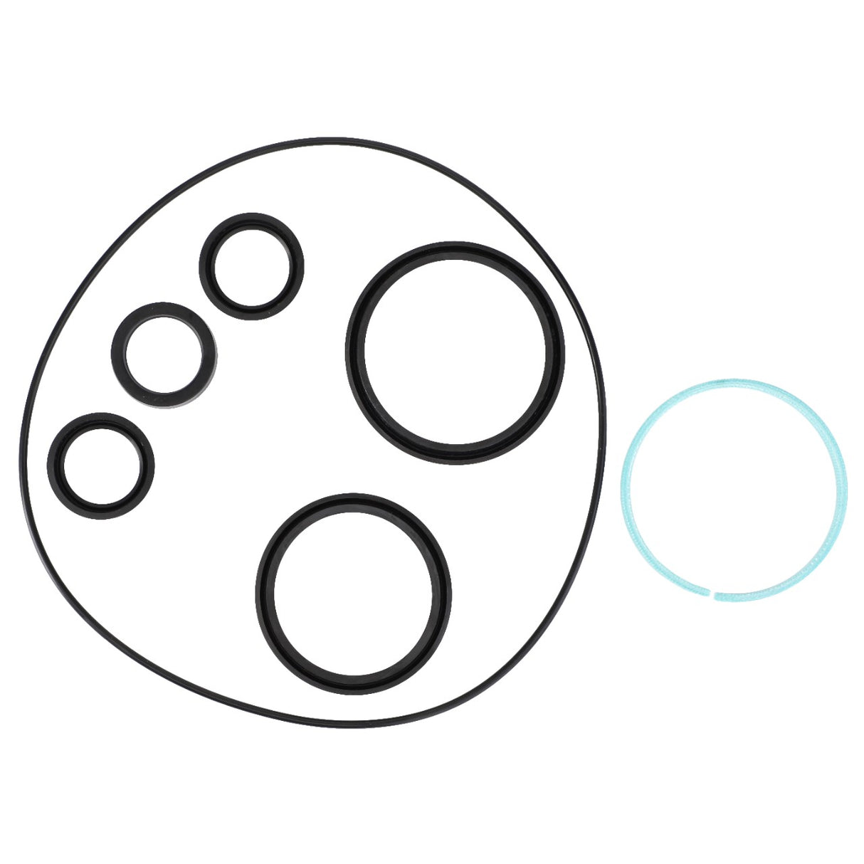 A set of six black O-rings in various sizes and one light blue C-shaped ring, perfect for maintaining your braking system, are neatly arranged on a white background. This is part of the AGCO Repair Kit, Seals - F903152070070 by AGCO.