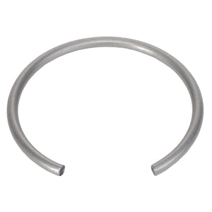 An open, silver-colored metallic ring with a circular shape, showcased against a plain white background, identified as AGCO | RING - AL5017000 by the brand AGCO, currently has no product description information available.